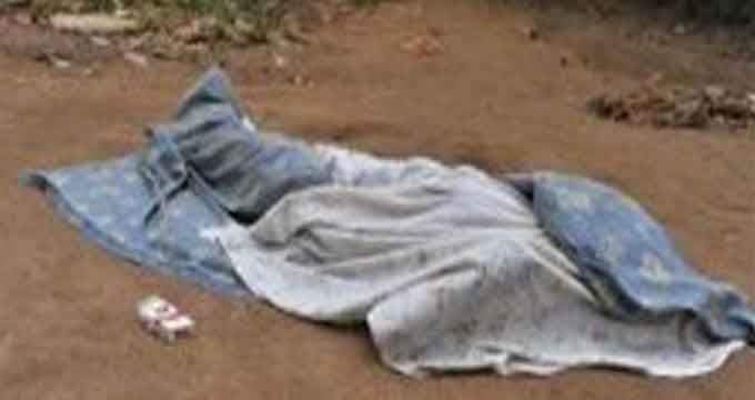 wp-1515870389811 image